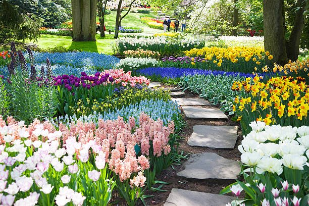 Human And Plants Cross Breeding
