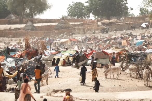 Immediate Ceasefire and Safe Humanitarian Access in Sudan