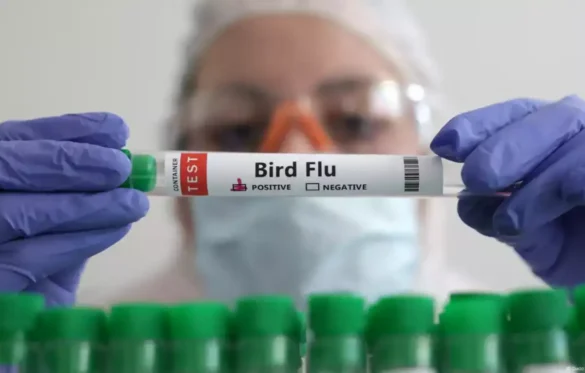 First Suspected Case of H5 Bird Flu